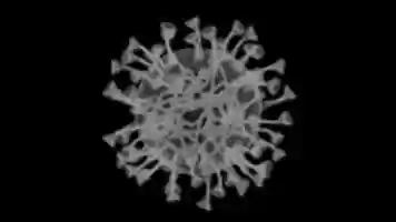 Free download back1 free photo or picture to be edited with GIMP online image editor