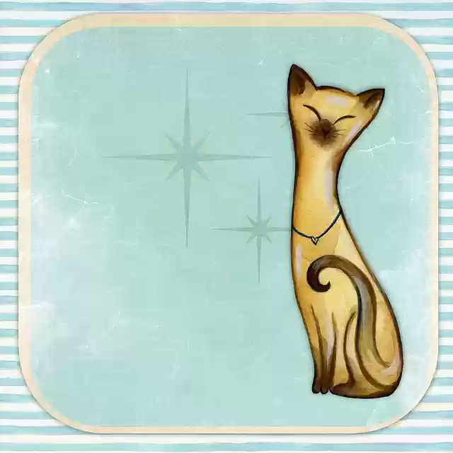 Скачать бесплатно иллюстрацию Background Cat Green для редактирования с помощью онлайн-редактора изображений GIMP