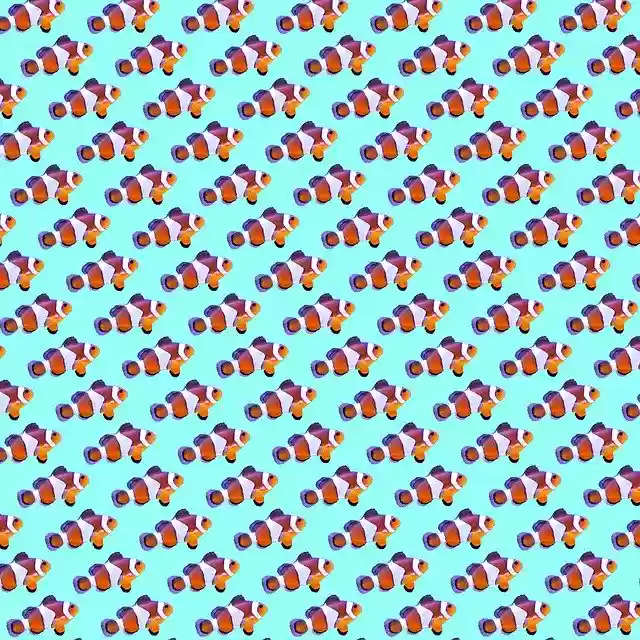 Free download Background Clownfish Tropical -  free illustration to be edited with GIMP free online image editor