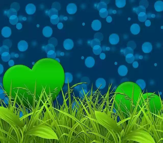 Free download Background Design Bokeh -  free illustration to be edited with GIMP free online image editor