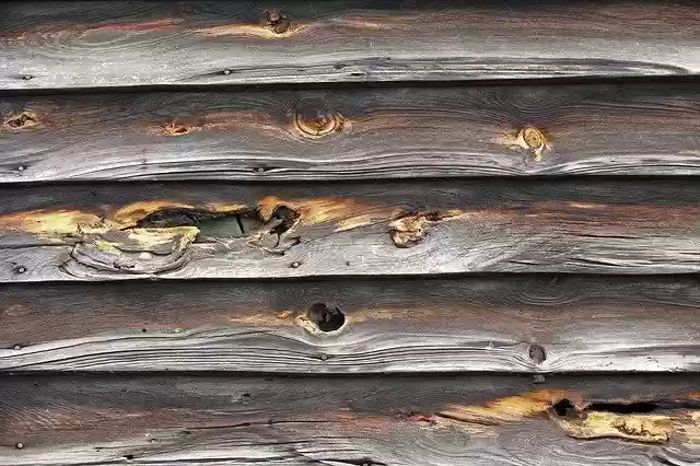 Free download Background Wood Texture -  free photo or picture to be edited with GIMP online image editor