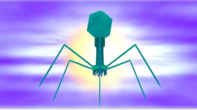 Free download Bacteriophage Virus Biology -  free illustration to be edited with GIMP free online image editor