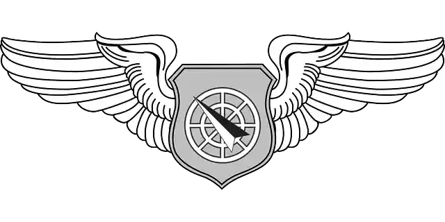 Free download Badge Usaf Insignia - Free vector graphic on Pixabay free illustration to be edited with GIMP free online image editor