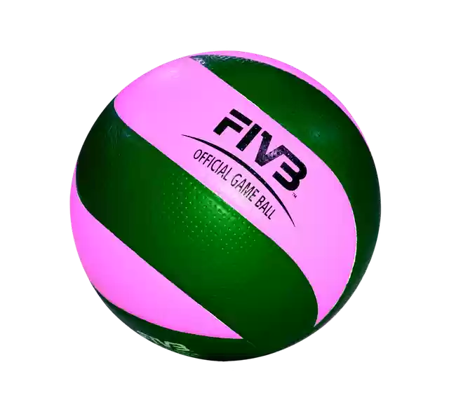 Free download Ball Volleyball Sports Team -  free illustration to be edited with GIMP free online image editor