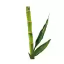 Bamboo Bulk  screen for extension Chrome web store in OffiDocs Chromium