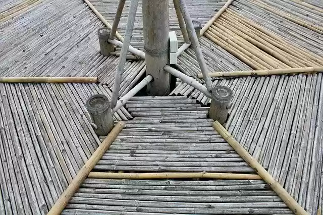 Free download Bamboo Design -  free photo or picture to be edited with GIMP online image editor