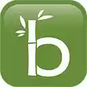 Bamboo Web Screensharing file  screen for extension Chrome web store in OffiDocs Chromium