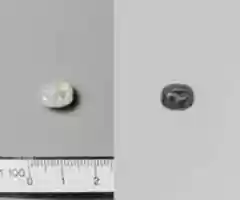 Free download Banded chalcedony scarab free photo or picture to be edited with GIMP online image editor