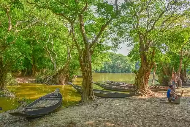 Free download Bangladesh Landscape Nature -  free photo or picture to be edited with GIMP online image editor
