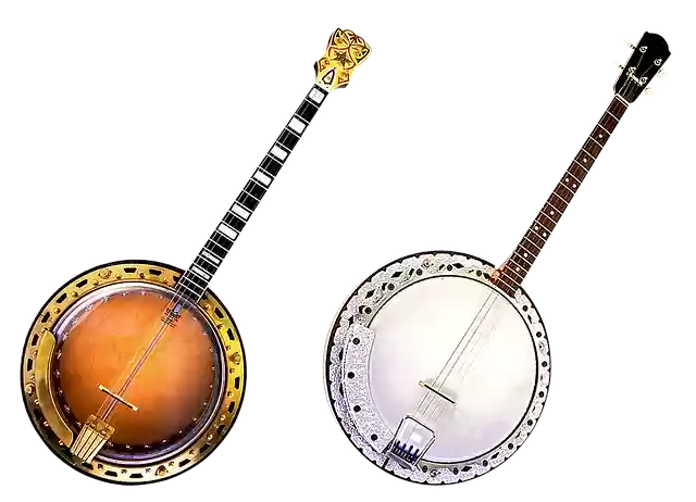 Free download banjo music strings jazz concert free picture to be edited with GIMP free online image editor