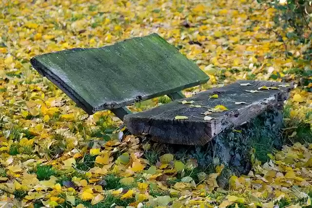 Free download Bank Park Autumn -  free free photo or picture to be edited with GIMP online image editor