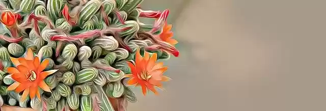 Free download Banner Digital Graphics -  free illustration to be edited with GIMP free online image editor