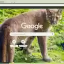 Bao lua  screen for extension Chrome web store in OffiDocs Chromium