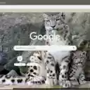 Bao trang  screen for extension Chrome web store in OffiDocs Chromium