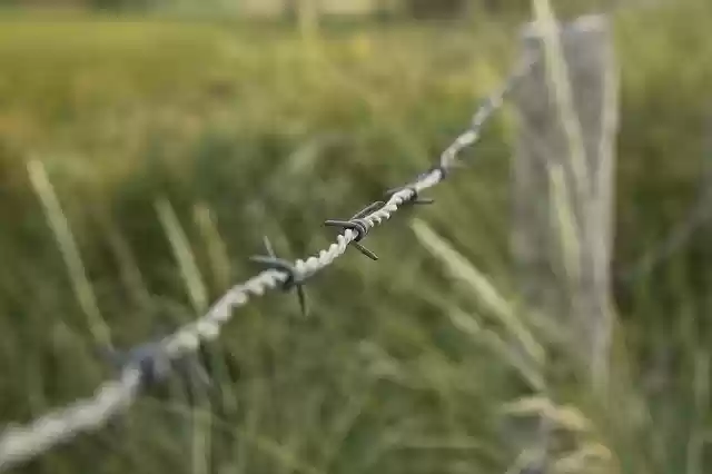 Free download Barbed Wire Meadow Barrier -  free photo or picture to be edited with GIMP online image editor
