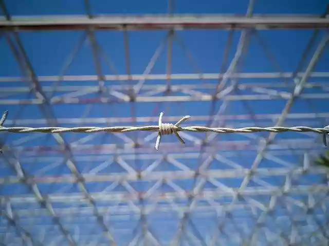Free download Barbed Wire Metal Daniel -  free photo or picture to be edited with GIMP online image editor