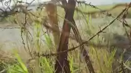 Free download Barbed Wire Security -  free video to be edited with OpenShot online video editor