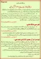 Free download Barelvi Mushrik or Yad e Khuda say Ghafil hen001 free photo or picture to be edited with GIMP online image editor