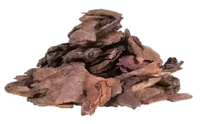 Free download Bark Compost Forest Terreaux -  free illustration to be edited with GIMP free online image editor