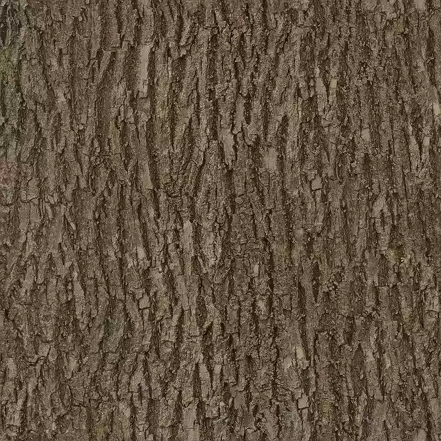 Muat turun percuma gambar percuma tekstur mulus pokok kayu kulit kayu untuk diedit dengan editor imej dalam talian percuma GIMP