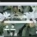Barleria  screen for extension Chrome web store in OffiDocs Chromium