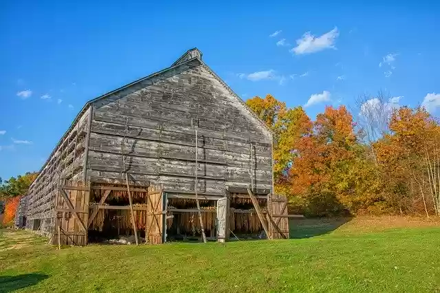 Free download Barn Tobacco Farm -  free photo or picture to be edited with GIMP online image editor
