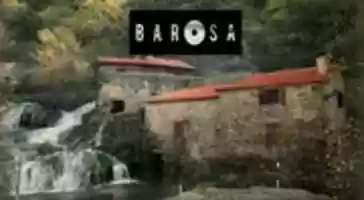 Free download barosa free photo or picture to be edited with GIMP online image editor