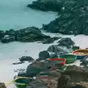 Basket boats on the beach  screen for extension Chrome web store in OffiDocs Chromium