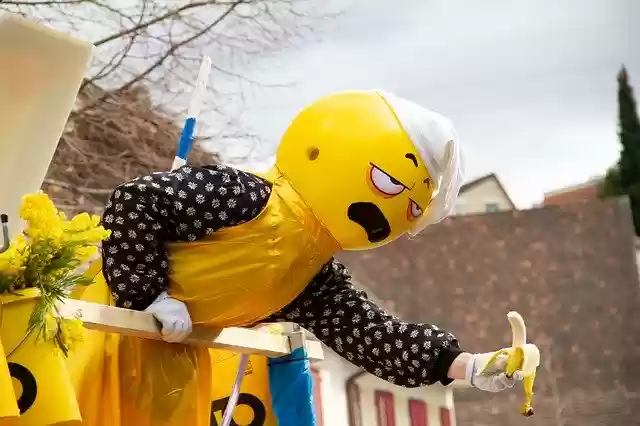 Free download Basler Fasnacht Move Carnival -  free photo or picture to be edited with GIMP online image editor