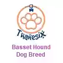 Basset Hound Dog Breed Thanesix.com  screen for extension Chrome web store in OffiDocs Chromium