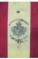 Free download Batallon Provisional de Puerto Rico No.3 (1898) free photo or picture to be edited with GIMP online image editor