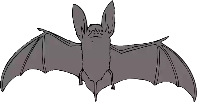 Free download Bat Animals Night - Free vector graphic on Pixabay free illustration to be edited with GIMP free online image editor