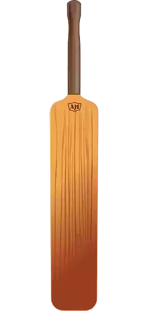 Free download Bat Cricket Equipment - Free vector graphic on Pixabay free illustration to be edited with GIMP free online image editor
