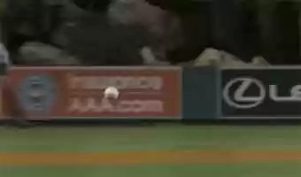 Free download Bat free photo or picture to be edited with GIMP online image editor