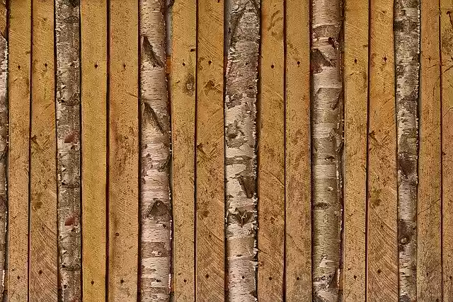 Free download Battens Boards Birch -  free photo or picture to be edited with GIMP online image editor