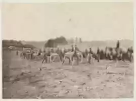 Free download Battery Going into Action, Fredericksburg, December 13, 1862 free photo or picture to be edited with GIMP online image editor