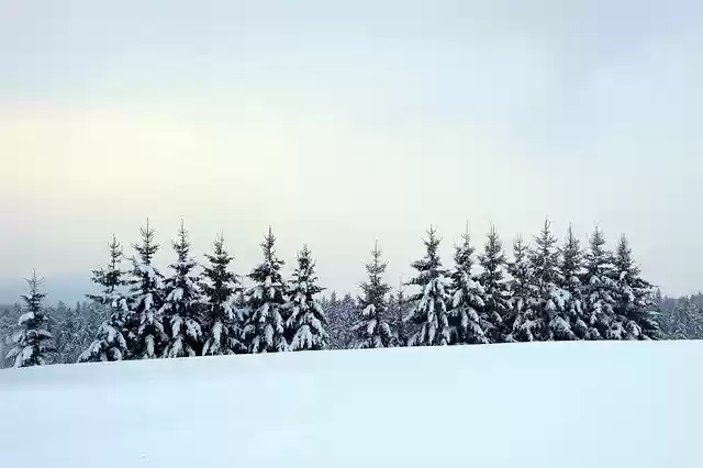 Free download Bavarian Forest Winter -  free free photo or picture to be edited with GIMP online image editor