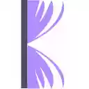 bbboookkksss  screen for extension Chrome web store in OffiDocs Chromium