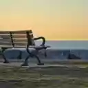 Beach Bench  screen for extension Chrome web store in OffiDocs Chromium