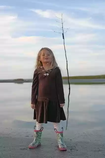 Free download Beach Clam Trees -  free photo or picture to be edited with GIMP online image editor