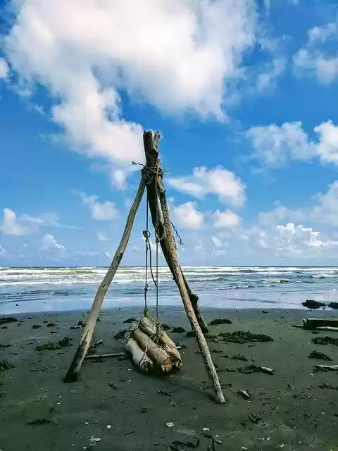 Free download Beach Firewood Blue Sky -  free free photo or picture to be edited with GIMP online image editor