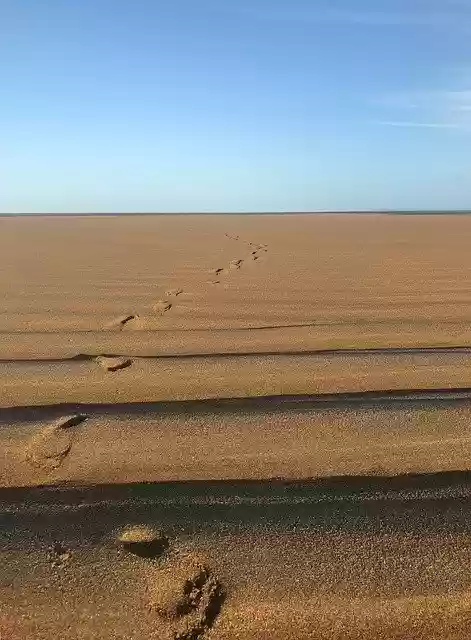 Free download Beach Footprints Sand -  free photo or picture to be edited with GIMP online image editor