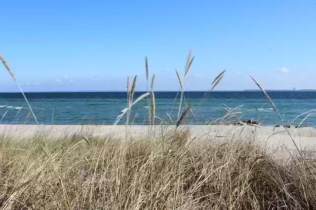 Free download Beach Grass Sea -  free photo or picture to be edited with GIMP online image editor