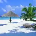 Beach in the Maldives  screen for extension Chrome web store in OffiDocs Chromium