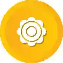 Beach Island Ocean Tree  screen for extension Chrome web store in OffiDocs Chromium