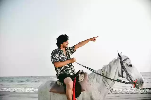 Free download beach man horse riding free picture to be edited with GIMP free online image editor