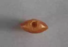 Free download Bead in the Shape of an Acacia Seed free photo or picture to be edited with GIMP online image editor