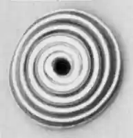 Free download Bead or whorl free photo or picture to be edited with GIMP online image editor