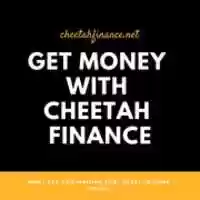 Free download Be a millionaire with cheetah finance today!  free photo or picture to be edited with GIMP online image editor