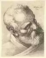 Libreng download Bearded Old Man with a Wart libreng larawan o larawan na ie-edit gamit ang GIMP online image editor